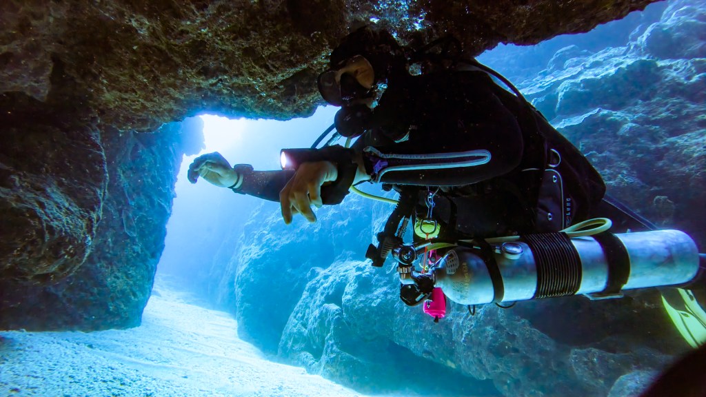 ディープダイバー 恩納村のPADIダイビングショップDiver's7沖縄